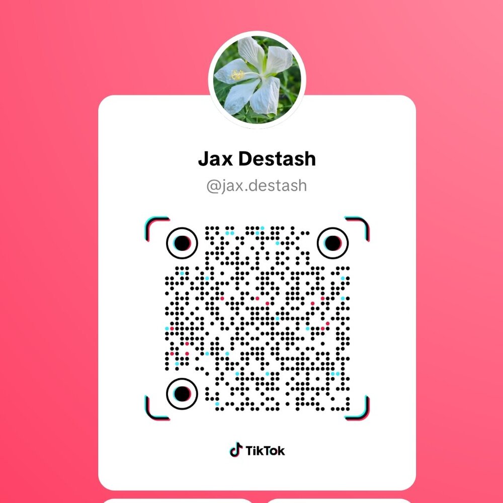 ✨ Follow Me on TikTok! ✨
